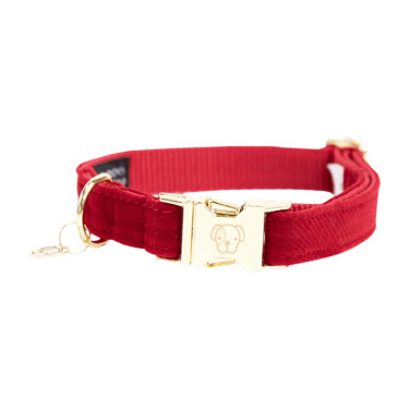Collar para perro de pana Kentucky Roja Rojo