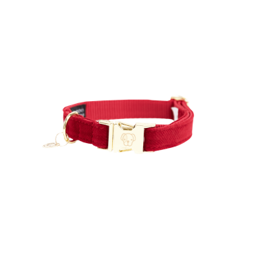 Collar para perro de pana Kentucky Roja Rojo