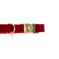 new Burdeos new Burdeos