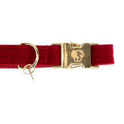 Collar para perro de pana Kentucky Roja Rojo