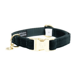 Collar para perro de pana Kentucky Verde abeto