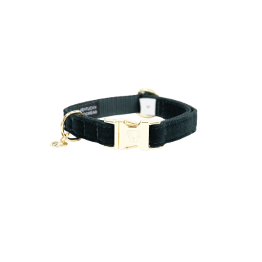 Collar para perro de pana Kentucky Verde abeto