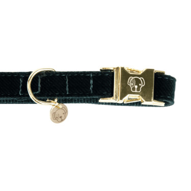 Collar para perro de pana Kentucky Verde abeto