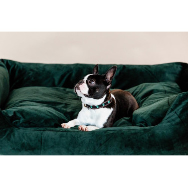 new Negro