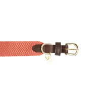 Collar para perro Jacquard Kentucky Terracota Naranja
