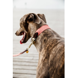 Collar para perro Jacquard Kentucky Terracota Naranja