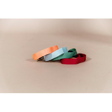 Collar para perro Jacquard Kentucky Terracota Naranja