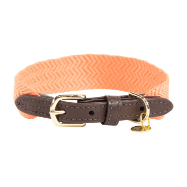 Collar para perro Jacquard Kentucky Naranja neón