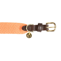 Collar para perro Jacquard Kentucky Terracota Naranja