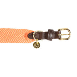 Collar para perro Jacquard Kentucky Naranja neón