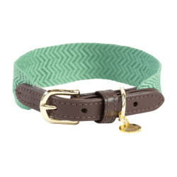 Collar para perro Jacquard Kentucky Verde oliva