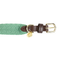 Collar para perro Jacquard Kentucky Verde oliva