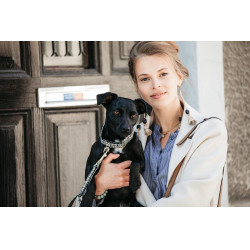 Collar para perro de pata de gallo Kentucky Marrón Collar para perro de pata de gallo Kentucky Marrón