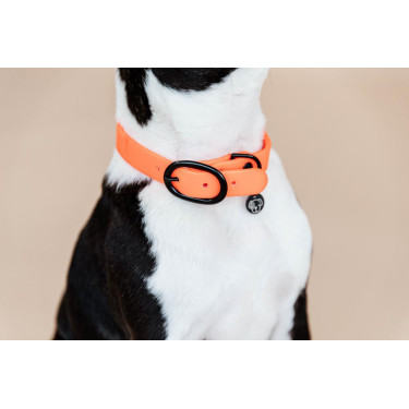 Collar para perro Soft Rubber Kentucky Naranja neón