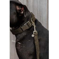 Collar para perro Teddy Fleece Kentucky