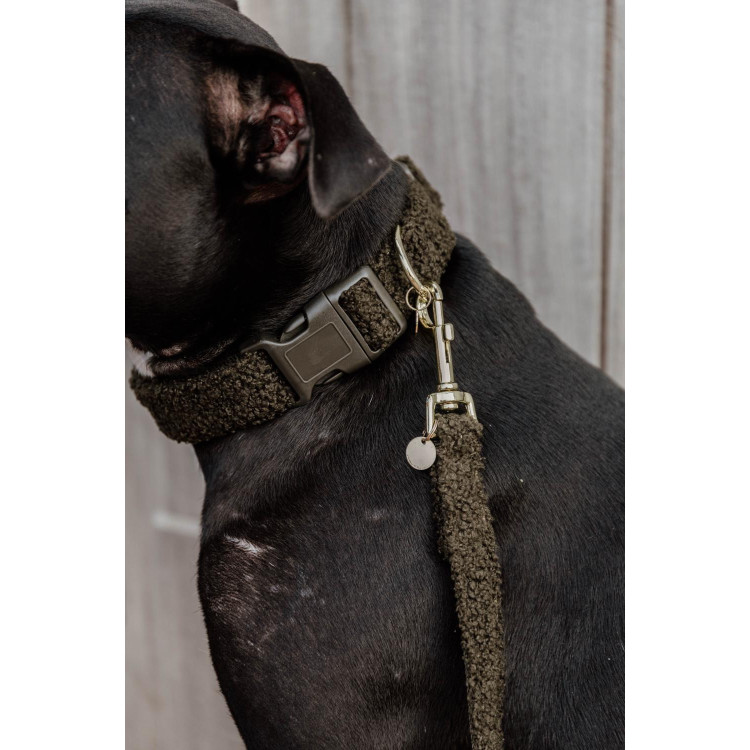 Collar para perro Teddy Fleece Kentucky