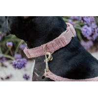 Collar para perro Teddy Fleece Kentucky Rosa viejo