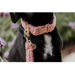 Collar para perro Teddy Fleece Kentucky Rosa viejo