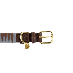 Collar para perro Triangle Kentucky Castaño Marrón