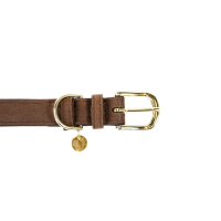 Collar para perro Velvet Leather Kentucky Marrón