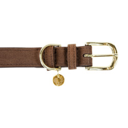 Collar para perro Velvet Leather Kentucky Marrón
