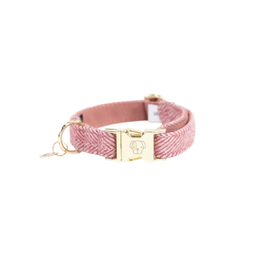 Collar para perro Wool Kentucky Collar para perro Wool Kentucky