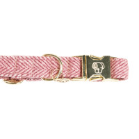 new Rosa claro