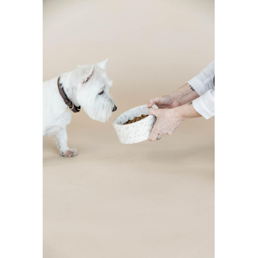 Cuenco para perro de piedra Terrazzo Kentucky Cuenco para perro de piedra Terrazzo Kentucky