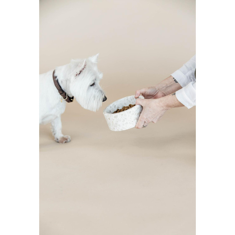 Cuenco para perro de piedra Terrazzo Kentucky
