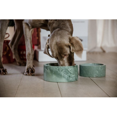 Cuenco para perro Mármol Kentucky Verde abeto