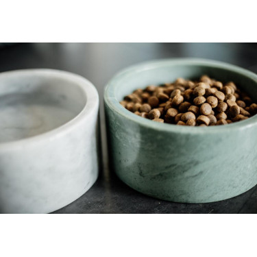 Cuenco para perro Mármol Kentucky Verde abeto