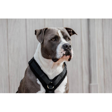 Arnés para perro Active Teddy Fleece Kentucky Arnés para perro Active Teddy Fleece Kentucky