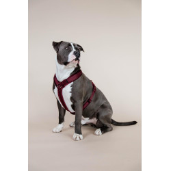 new Burdeos new Burdeos