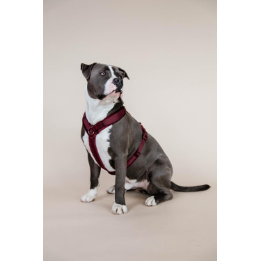 new Burdeos new Burdeos