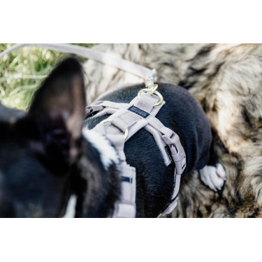 Arnés para perro Active Velvet Kentucky Arnés para perro Active Velvet Kentucky