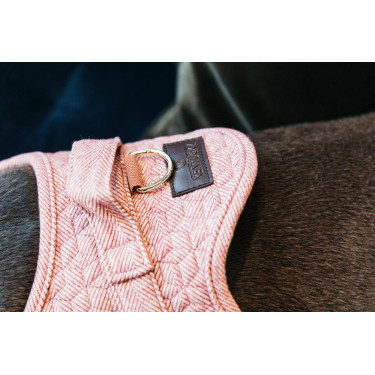 Arnés para perro Body Safe Wool Kentucky Arnés para perro Body Safe Wool Kentucky