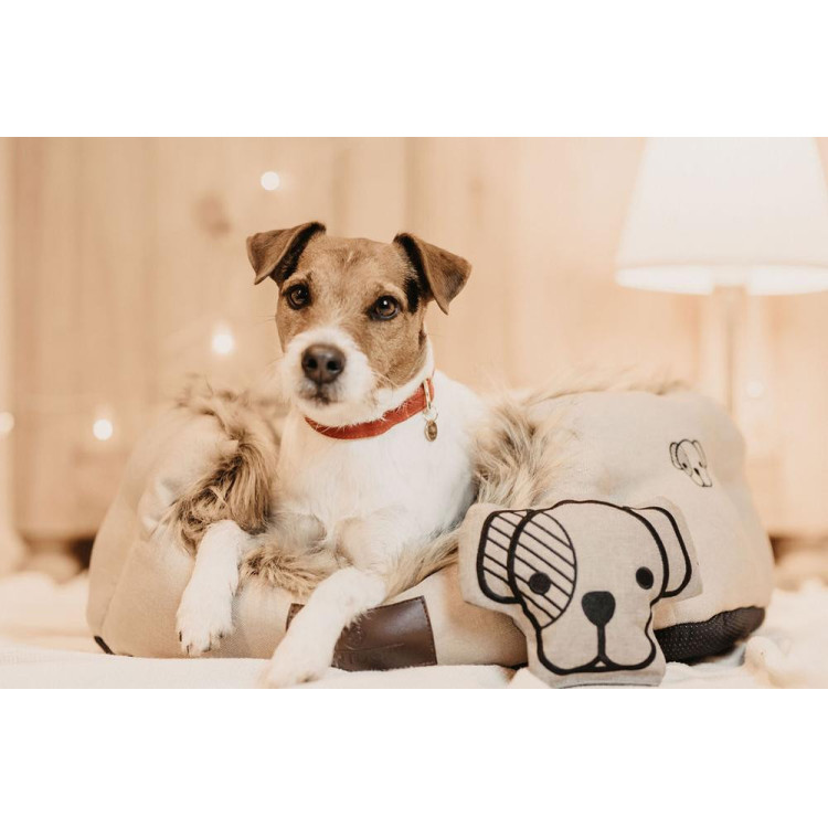Juguete para perro Dog-Head Kentucky