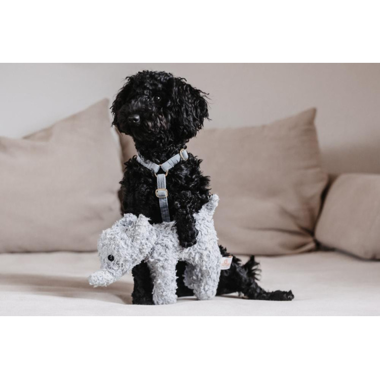 Juguete para perro Elefante Elsa Kentucky