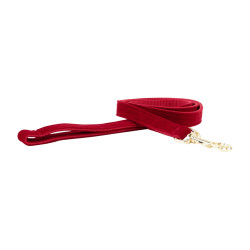 Correa para perro de pana Kentucky Roja Rojo