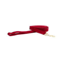 Correa para perro de pana Kentucky Roja Rojo Correa para perro de pana Kentucky Roja Rojo