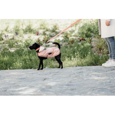 Correa para perro Jacquard Kentucky Terracota Naranja