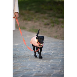 Correa para perro Jacquard Kentucky Terracota Naranja