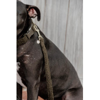 Correa para perro Teddy Fleece 120 cm Kentucky Verde abeto