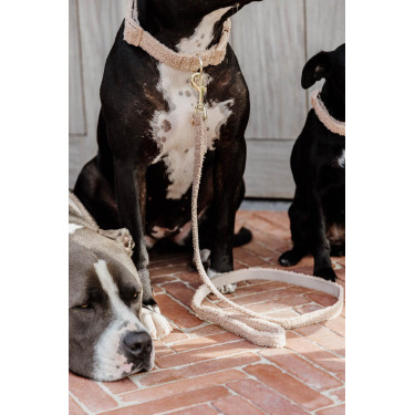 Correa para perro Teddy Fleece 120 cm Kentucky Correa para perro Teddy Fleece 120 cm Kentucky