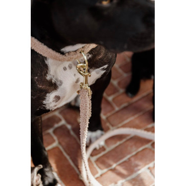 Correa para perro Teddy Fleece 120 cm Kentucky Correa para perro Teddy Fleece 120 cm Kentucky