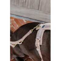 Correa para perro Teddy Fleece 200 cm Kentucky Verde abeto Correa para perro Teddy Fleece 200 cm Kentucky Verde abeto