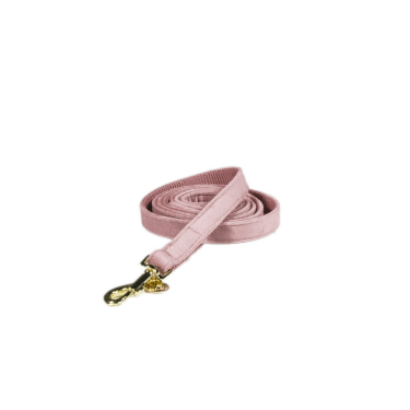 Correa para perro Velvet 120 cm Kentucky Correa para perro Velvet 120 cm Kentucky
