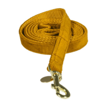 Correa para perro Velvet 120 cm Kentucky Mostaza Amarillo