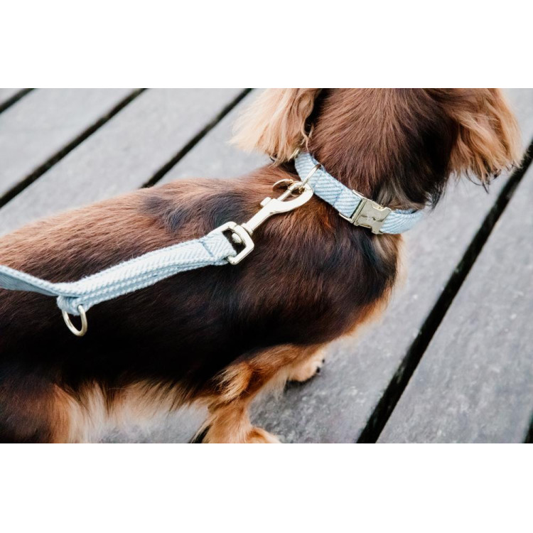 Correa corta de lana para perro Kentucky