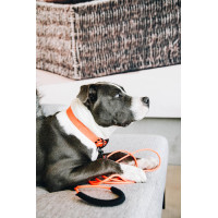 Laisse de Goma Suave Kentucky Naranja neón